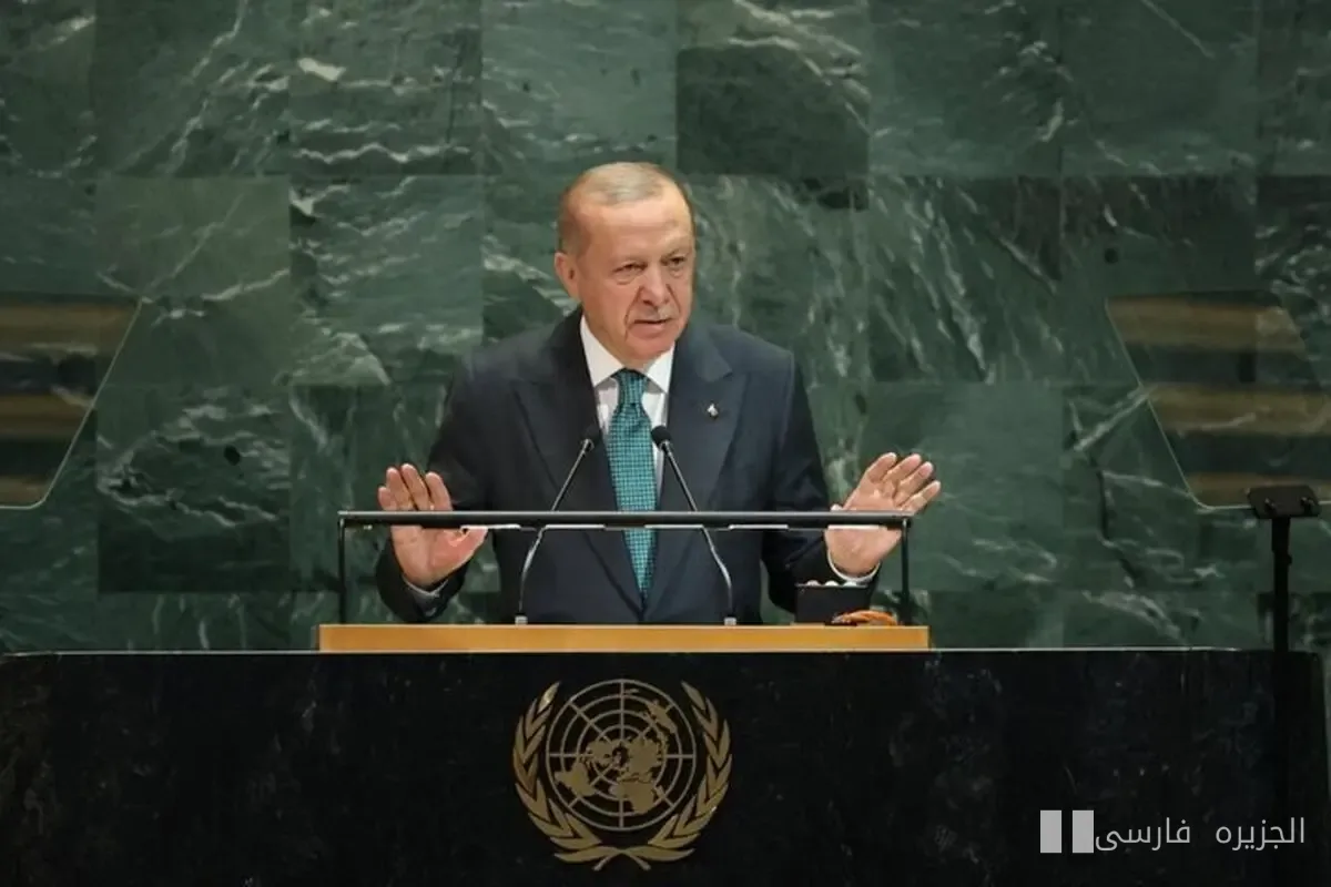 رجب طیب اردوغان يدعو إلى إصلاحات في مجلس الأمن التابع للأمم المتحدة