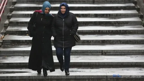 نقش و سرنوشت اسلام سیاسی در وین: واکنش عمدة وین به تهدیدات