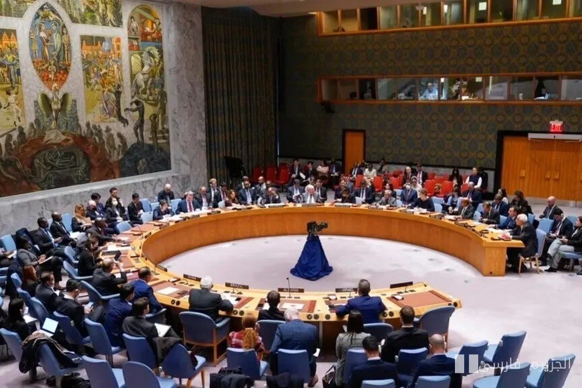 Emergency Security Council Meeting on the Bab al-Mandab Strait