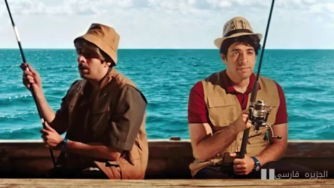 آیا حملات دلفین‌های اورکا به قایق‌ها در مدیترانه انتقام است یا بازی؟