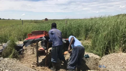 ثروت کروم آفریقای جنوبی؛ زیرزمینی مرگبار برای کارگران مهاجر