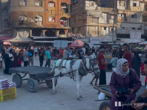 چرا در غزه، الاغ‌ها به وسیلهٔ نقلیهٔ اصلی تبدیل شده‌اند؟
