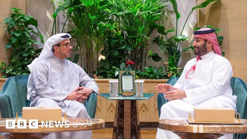 دیدار شیخ منصور بن زاید و محمد بن سلمان در عربستان