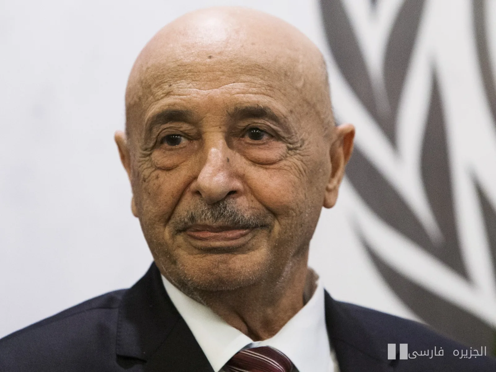 پارلمان لیبی، آگیلا صالح را پس از ۱۲ سال برکنار کرد